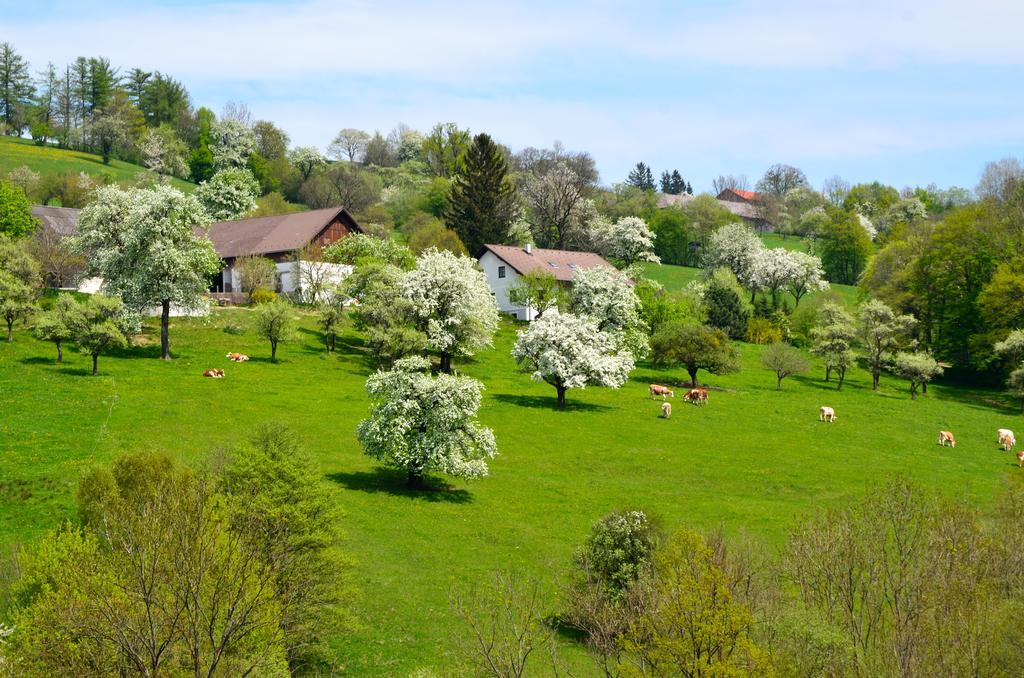 Ferienwohnung Vonwald Michelbach 外观 照片