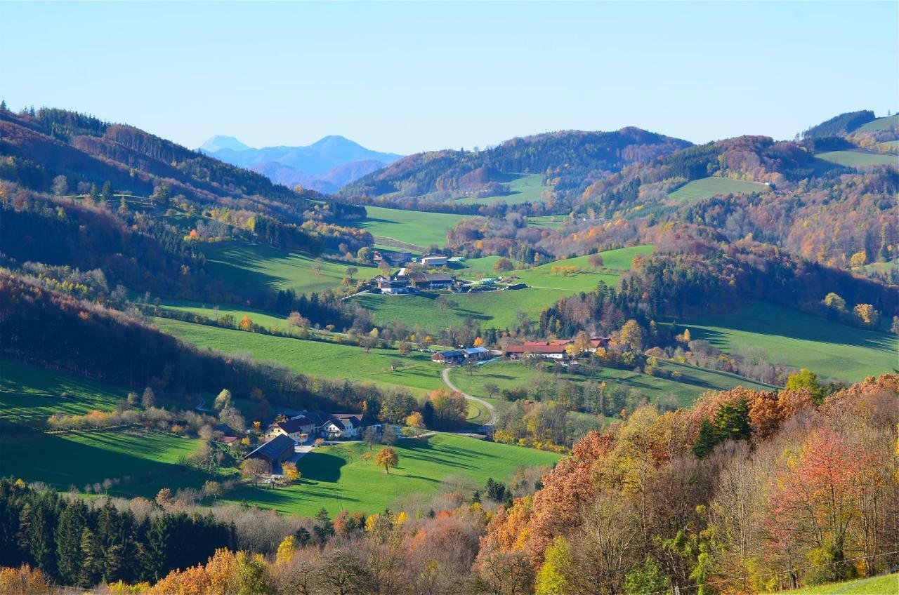 Ferienwohnung Vonwald Michelbach 外观 照片