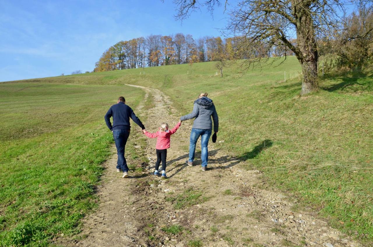 Ferienwohnung Vonwald Michelbach 外观 照片
